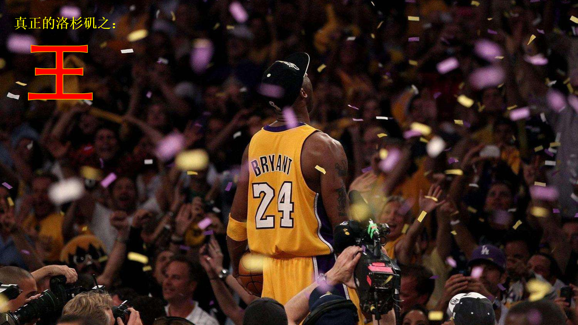 大脑依然维 大脑依然维